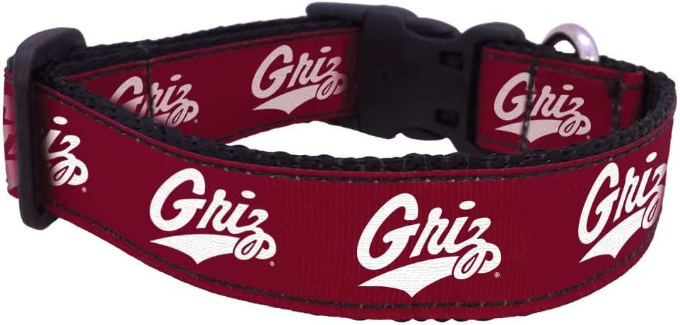 College Dog Collar - Montana