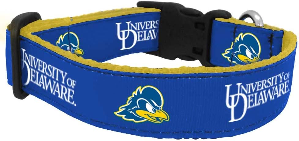 College Dog Collar - Dealware