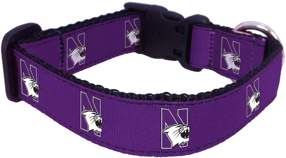 College Dog Collar - NorthWestern