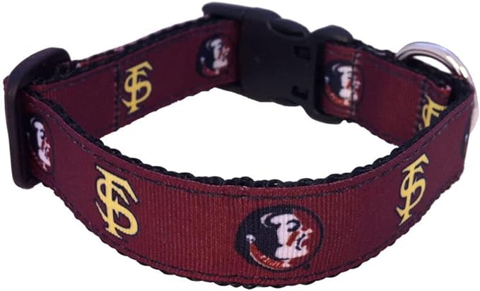 College Dog Collar - Florida State FS