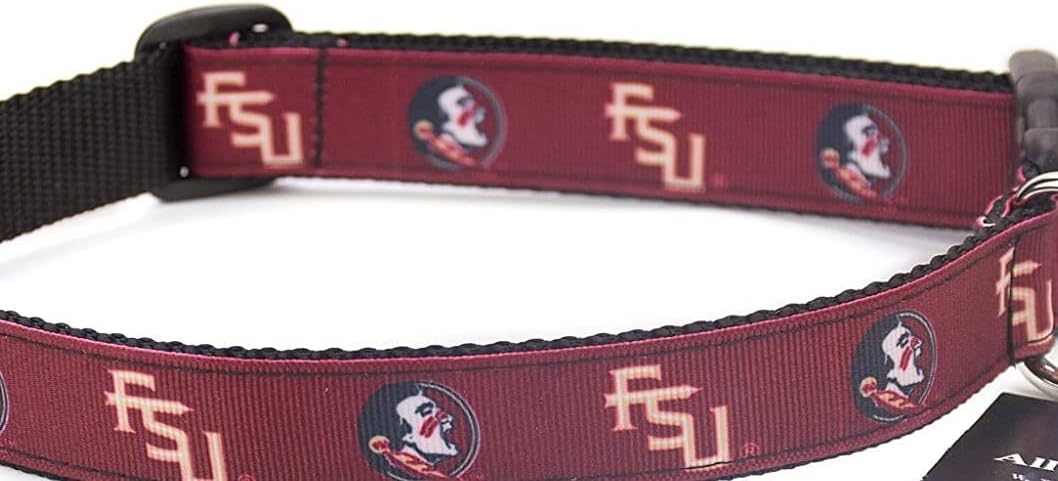 College Dog Collar - Florida State FSU