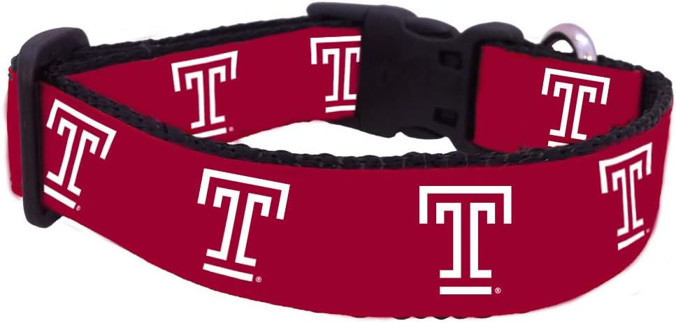 College Dog Collar - Temple