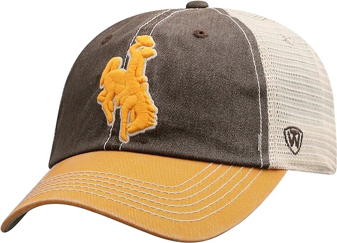 Collegiate Hats - Wyoming icon Vintage