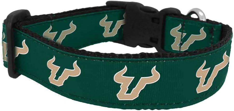 College Dog Collar - South Florida