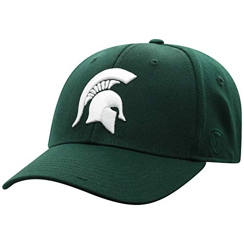 Top of the World Premium Collection One-Fit Memory Fit Team Color Icon Hat