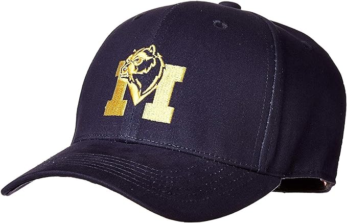 Collegiate Hats - Michigan