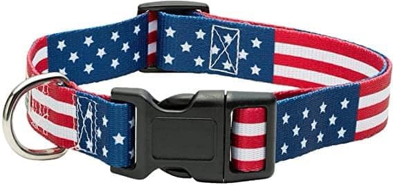 Wholesale Order - 100 Dog Collars - 1 Custom Design - Mixed Sizes: Small, Medium and Large