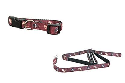 Collegiate X-Small Dog Collar and Small Leash Bundle