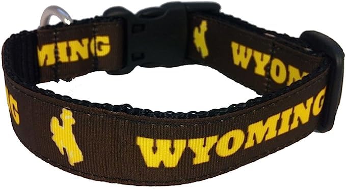 College Dog Collar - Adjustable Length