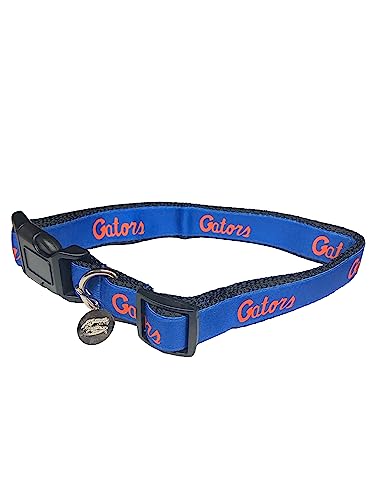 College Pet Dog Collars