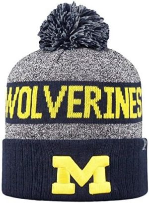 Michigan Grey Winter Beanie