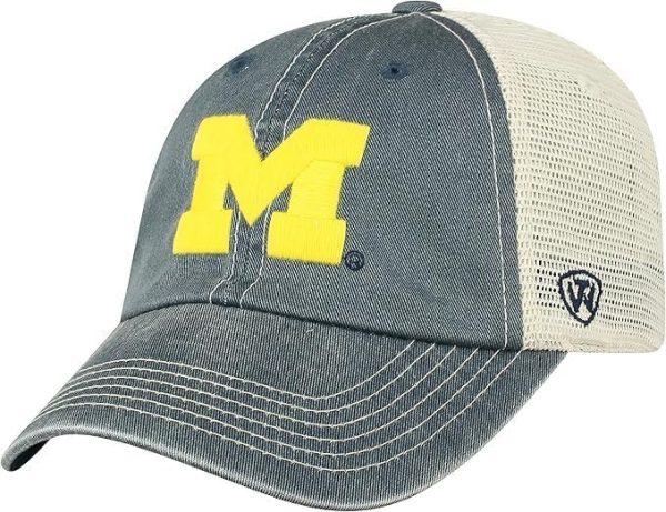 Michigan Vintage Hat