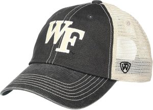 Wake Forest Vintage Hat