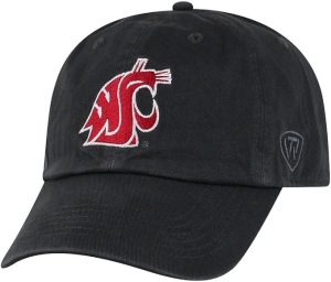 Washington State Charcoal Hat