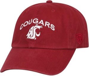 Washington State Primary Arch Hat