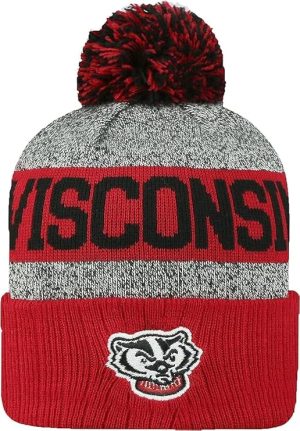 Wisconsin Winter Beanie