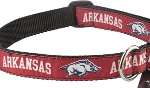 Arkansas Word Dog Collar