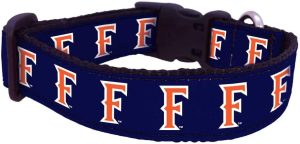 Cal State Fullerton Dog Collar