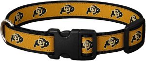 Colorado Gold Dog Collar