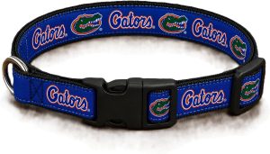Florida Gator Blue Dog Collar