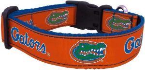 Florida Gator Orange Dog Collar