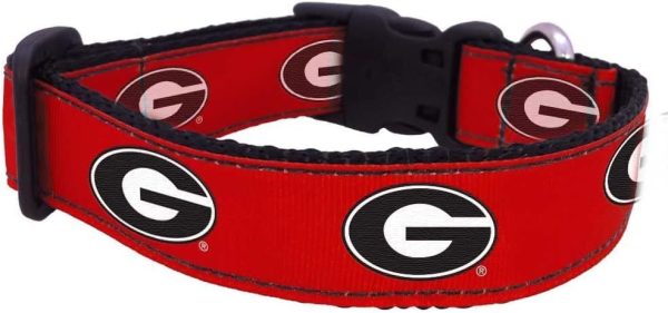 Georgia G Dog Collar