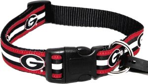 georgiastripedcollar Georgia Striped Dog Collar