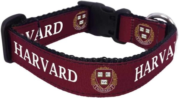 Harvard Dog Collar