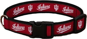 Indiana Word Dog Collar