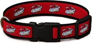 Iowa State Cyclones Dog Collar
