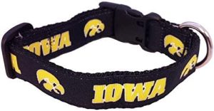 Iowa Word Black Dog Collar