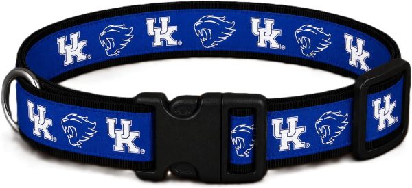 kentuckymascotcollar Kentucky Mascot Dog Collar