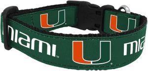Miami Word Dog Collar