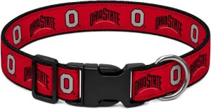 Ohio State O Dog Collar