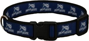 Penn State New Mascot Dog Collar