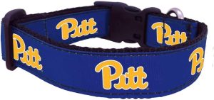 Pitt Dog Collar
