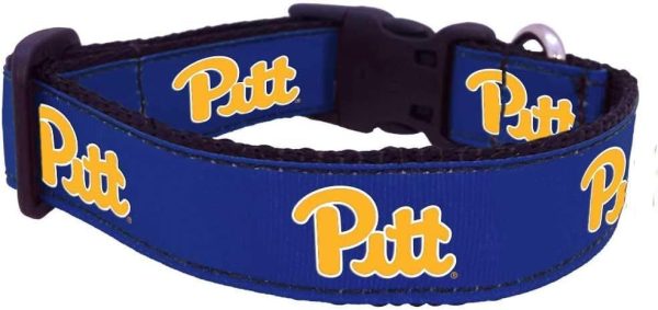 pittcollar Pitt Dog Collar
