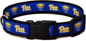 Pitt Mascot Dog Collar