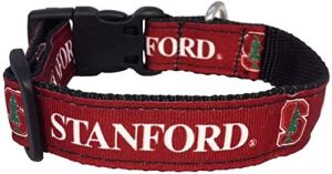 Stanford Dog Collar