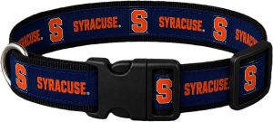 Syracuse Blue Dog Collar
