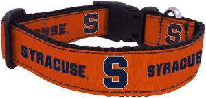 Syracuse Orange Dog Collar