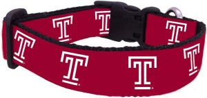 Temple Dog Collar