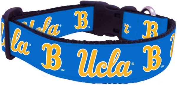 UCLA B Dog Collar