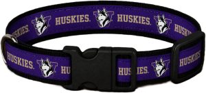 washingtonmascotcollar Washington Mascot Dog Collar
