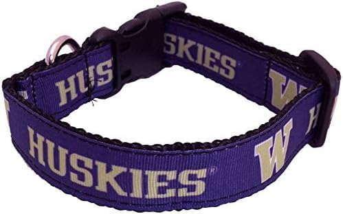 Washington W Dog Collar