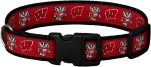 Wisconsin Mascot Dog Collar