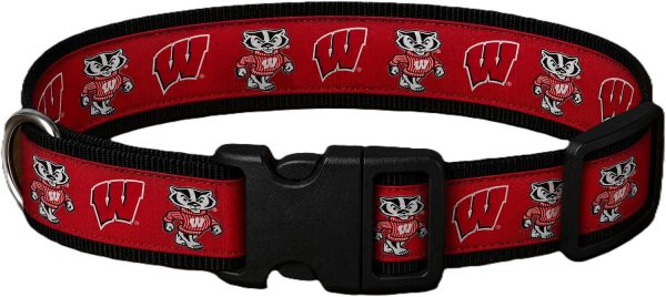 wisconsinmascotcollar Wisconsin Mascot Dog Collar