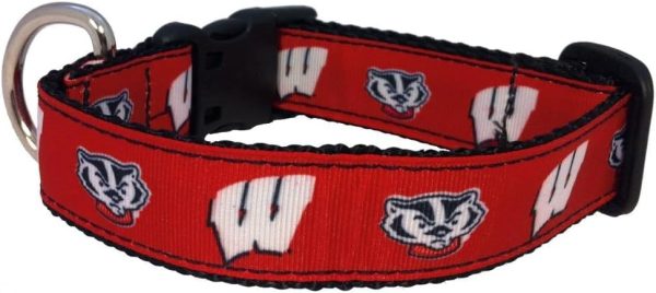 Wisconsin Mascot Head Dog Collar